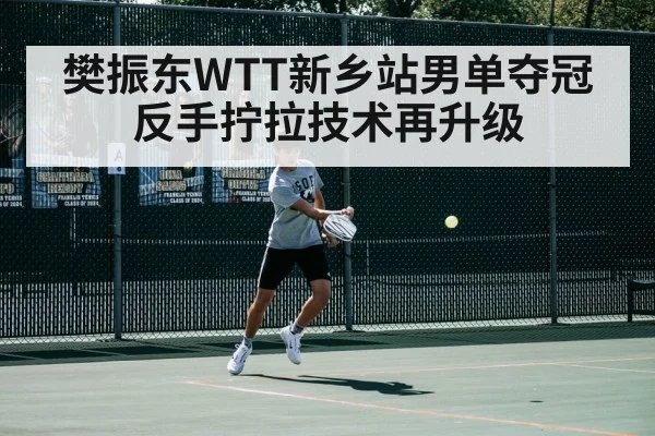樊振东WTT新乡站男单夺冠 反手拧拉技术再升级